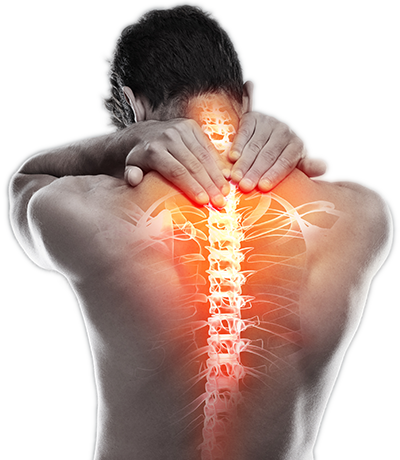 manSpine